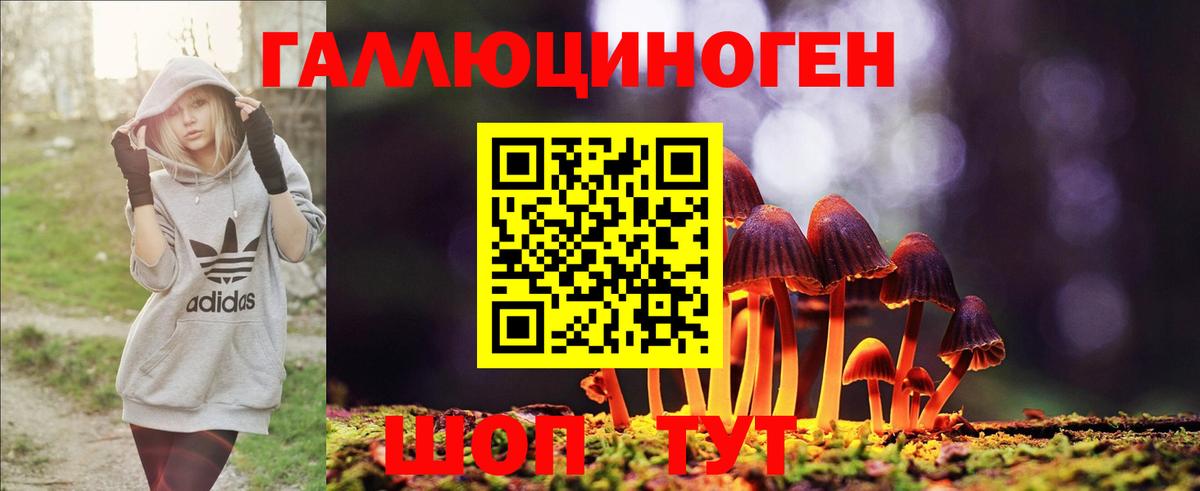 Галлюциногенные грибы MAGIC MUSHROOMS Черняховск