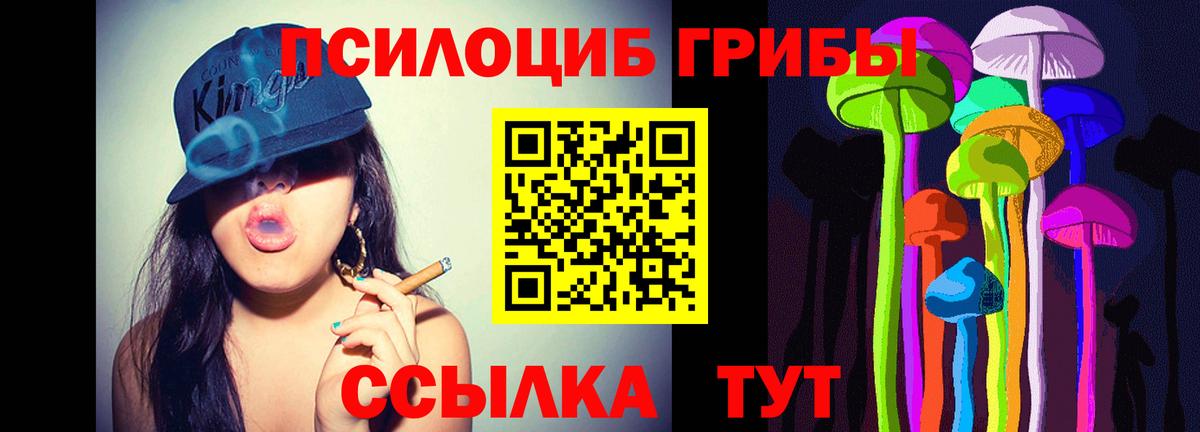 Псилоцибиновые грибы Psilocybine cubensis  Вход с VPN  Черняховск 